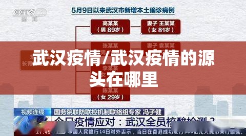武汉疫情/武汉疫情的源头在哪里 武汉疫情/武汉疫情的源头在哪里