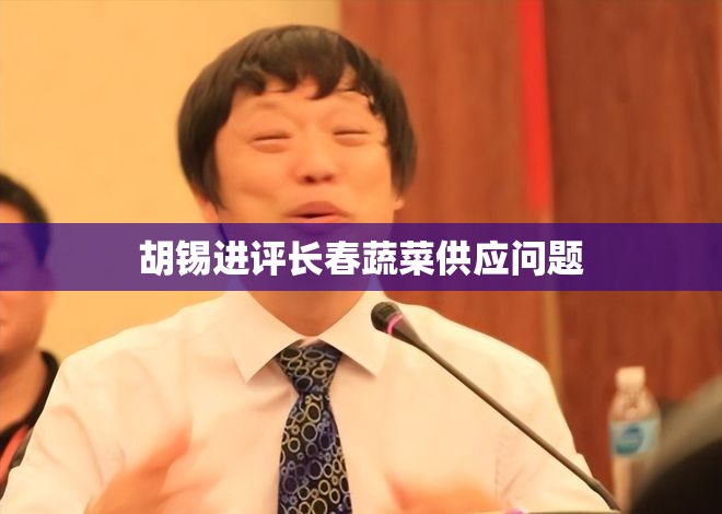 胡锡进评长春蔬菜供应问题