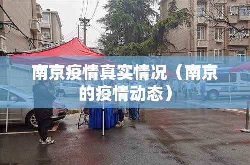 南京疫情真实情况(南京的疫情动态) 南京疫情真实情况(南京的疫情动态)