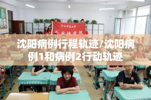沈阳病例行程轨迹/沈阳病例1和病例2行动轨迹 沈阳病例行程轨迹/沈阳病例1和病例2行动轨迹