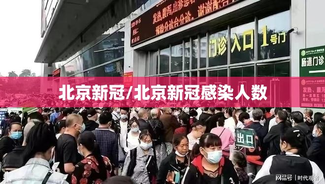 北京新冠/北京新冠感染人数