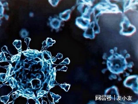 北京新冠/北京新冠感染人数