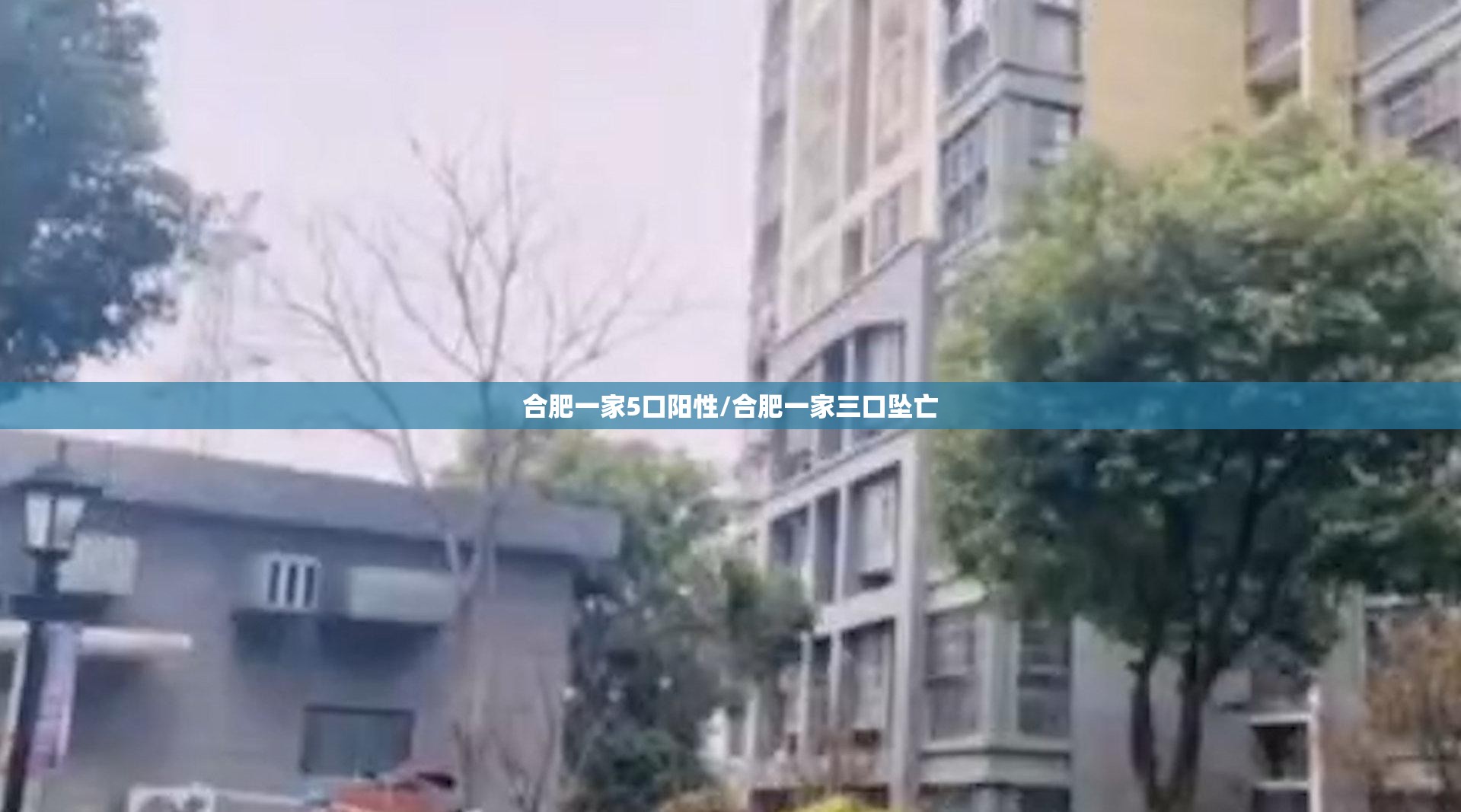 合肥一家5口阳性/合肥一家三口坠亡 合肥一家5口阳性/合肥一家三口坠亡