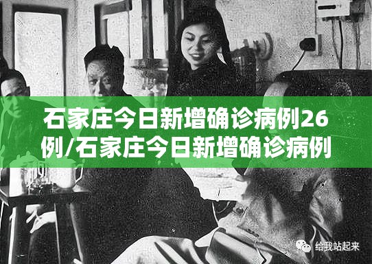 石家庄今日新增确诊病例26例/石家庄今日新增确诊病例26例行踪
