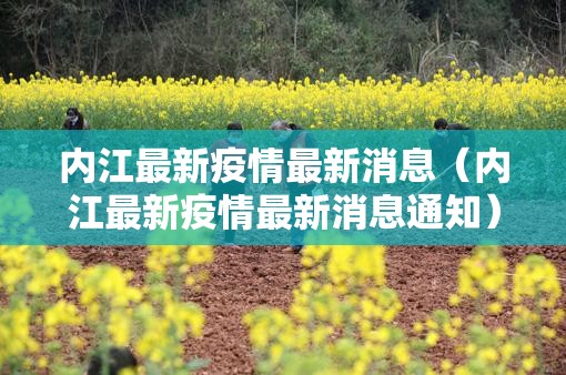 内江最新疫情最新消息（内江最新疫情最新消息通知）