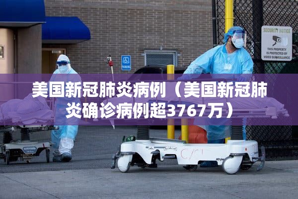 美国新冠肺炎病例（美国新冠肺炎确诊病例超3767万）