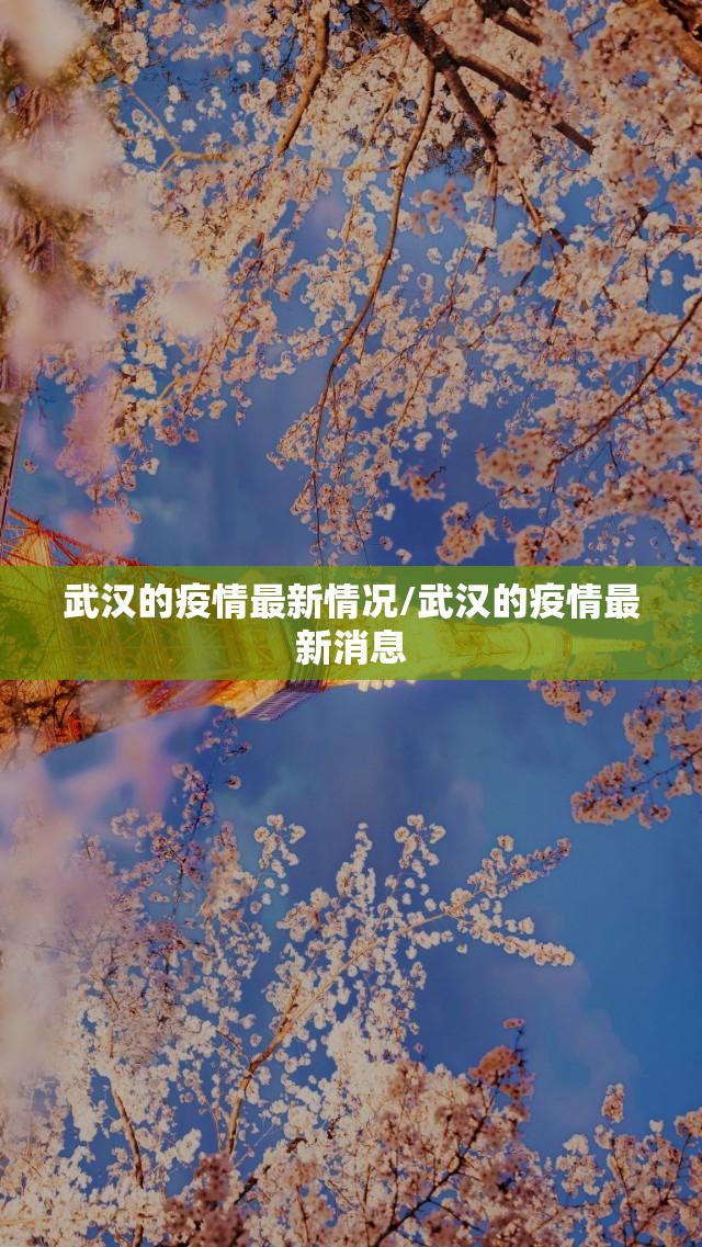 武汉的疫情最新情况/武汉的疫情最新消息 武汉的疫情最新情况/武汉的疫情最新消息