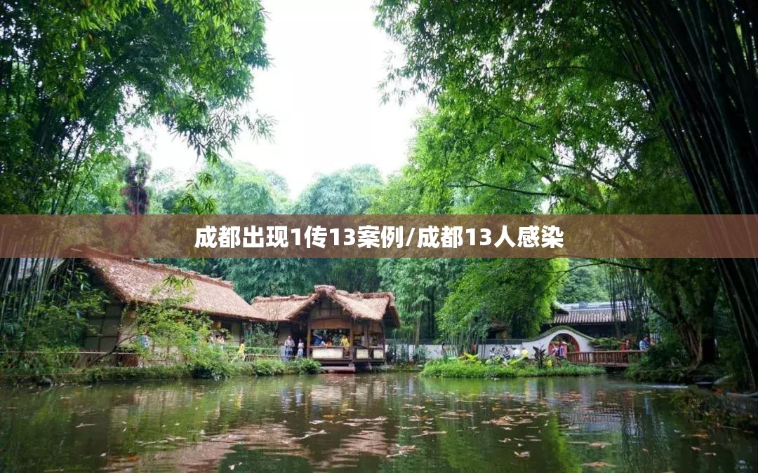 成都出现1传13案例/成都13人感染 成都出现1传13案例/成都13人感染