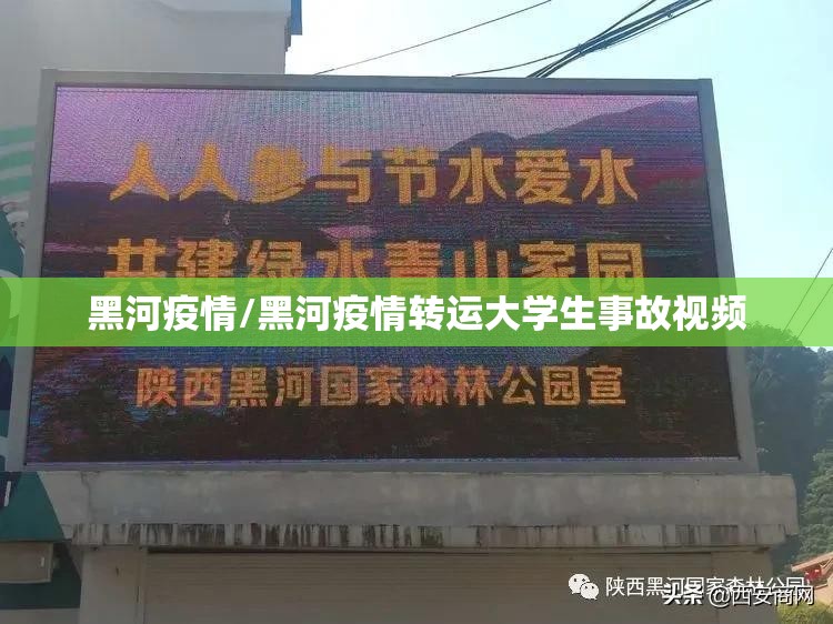 黑河疫情/黑河疫情转运大学生事故视频