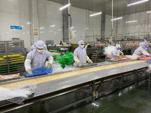 哈尔滨疫情最新消息2022（哈尔滨疫情最新消息通知）