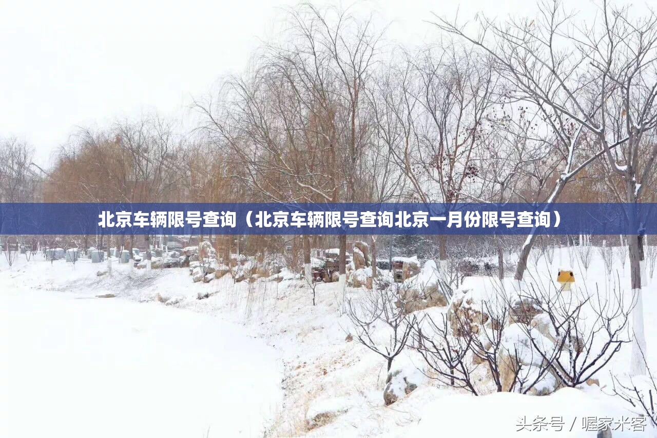 北京车辆限号查询(北京车辆限号查询北京一月份限号查询) 北京车辆限号查询(北京车辆限号查询北京一月份限号查询)