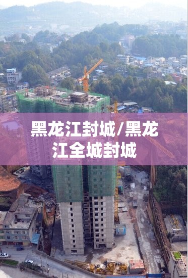 黑龙江封城/黑龙江全城封城 黑龙江封城/黑龙江全城封城