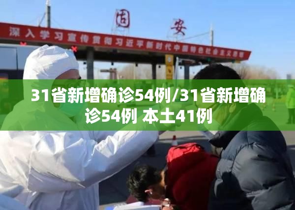31省新增确诊54例/31省新增确诊54例 本土41例