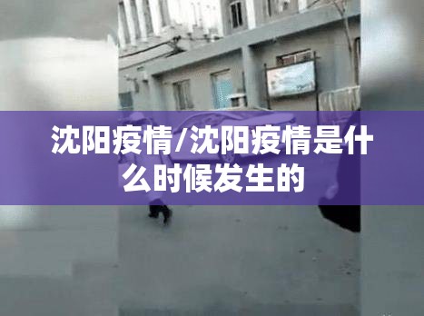 沈阳疫情/沈阳疫情是什么时候发生的