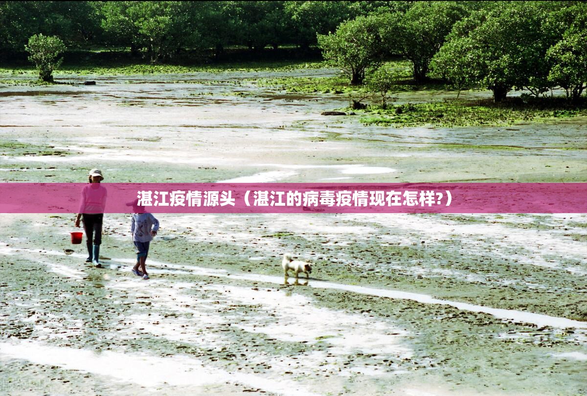 湛江疫情源头（湛江的病毒疫情现在怎样?）