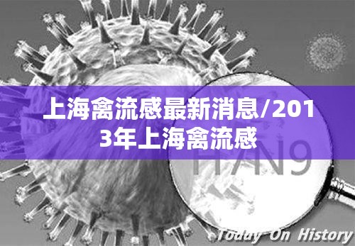 上海禽流感最新消息/2013年上海禽流感 上海禽流感最新消息/2013年上海禽流感