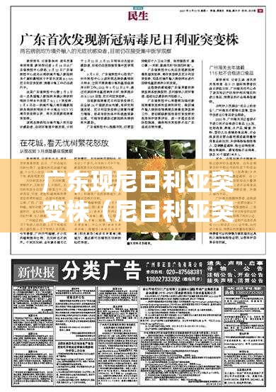 广东现尼日利亚突变株(尼日利亚突变株什么意思) 广东现尼日利亚突变株(尼日利亚突变株什么意思)