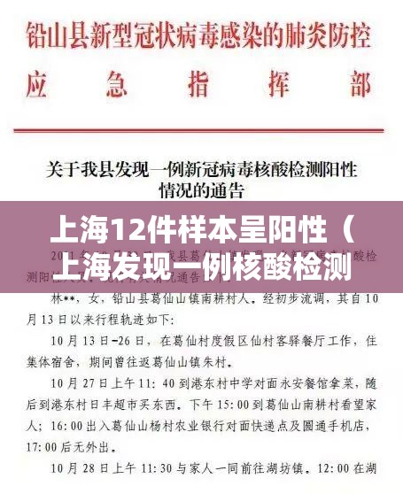 上海12件样本呈阳性(上海发现一例核酸检测阳性) 上海12件样本呈阳性(上海发现一例核酸检测阳性)