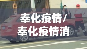 奉化疫情/奉化疫情消息