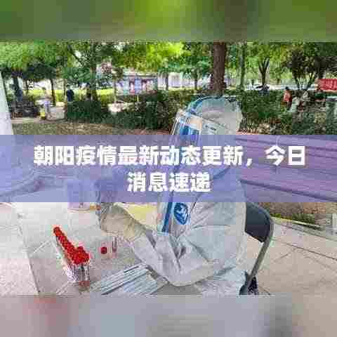 辽宁朝阳疫情最新消息（辽宁朝阳疫情最新消息今天）