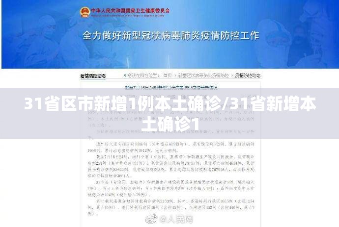 31省区市新增1例本土确诊/31省新增本土确诊1