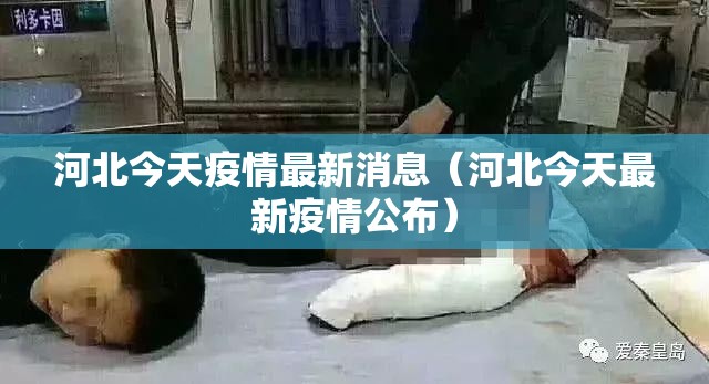 河北今天疫情最新消息(河北今天最新疫情公布) 河北今天疫情最新消息(河北今天最新疫情公布)