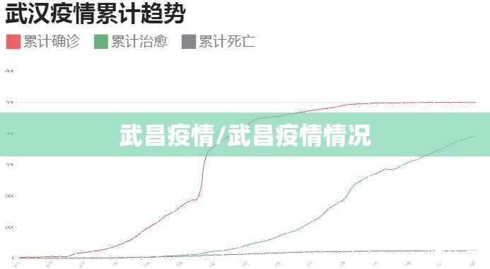 武昌疫情/武昌疫情情况 武昌疫情/武昌疫情情况