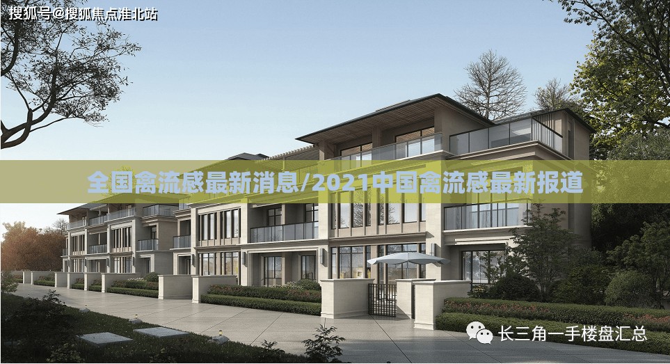 全国禽流感最新消息/2021中国禽流感最新报道