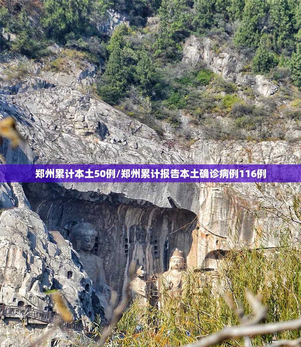 郑州累计本土50例/郑州累计报告本土确诊病例116例