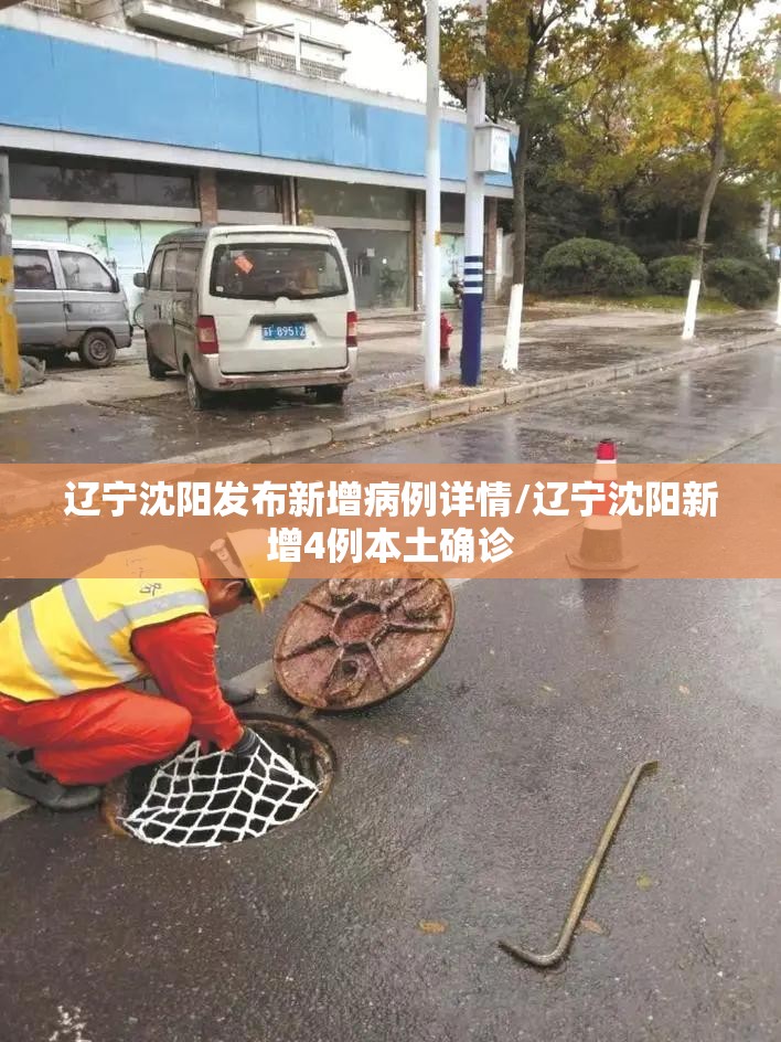 辽宁沈阳发布新增病例详情/辽宁沈阳新增4例本土确诊