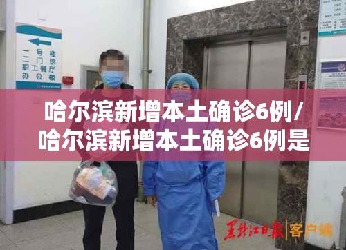 哈尔滨新增本土确诊6例/哈尔滨新增本土确诊6例是哪里的 哈尔滨新增本土确诊6例/哈尔滨新增本土确诊6例是哪里的