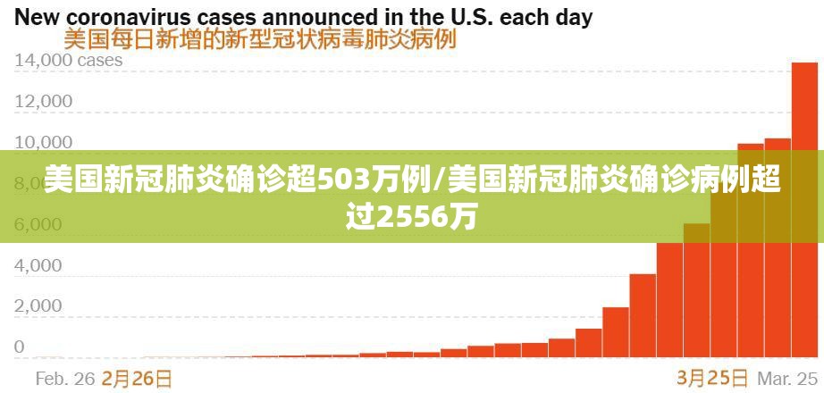 美国新冠肺炎确诊超503万例/美国新冠肺炎确诊病例超过2556万