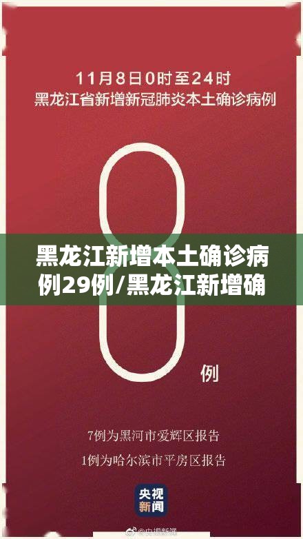 黑龙江新增本土确诊病例29例/黑龙江新增确诊病例28例