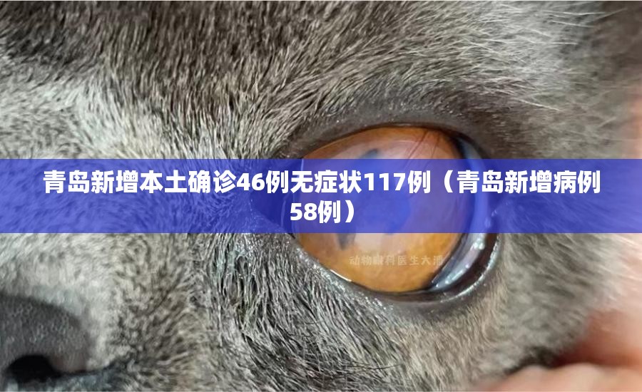 青岛新增本土确诊46例无症状117例(青岛新增病例58例) 青岛新增本土确诊46例无症状117例(青岛新增病例58例)