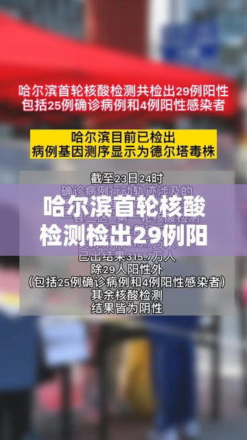 哈尔滨首轮核酸检测检出29例阳性/哈尔滨首轮核酸检测检出29例阳性患者