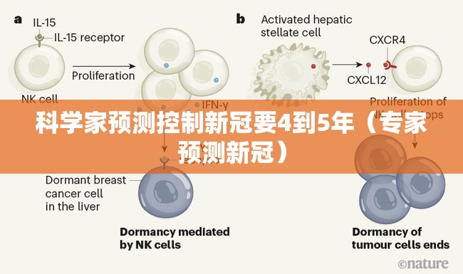 科学家预测控制新冠要4到5年（专家预测新冠）