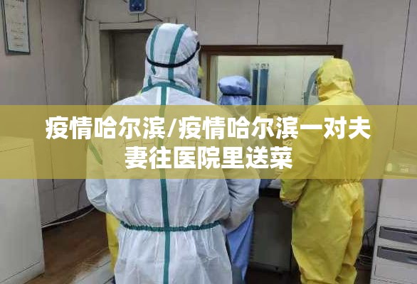 疫情哈尔滨/疫情哈尔滨一对夫妻往医院里送菜