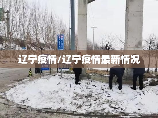 辽宁疫情/辽宁疫情最新情况