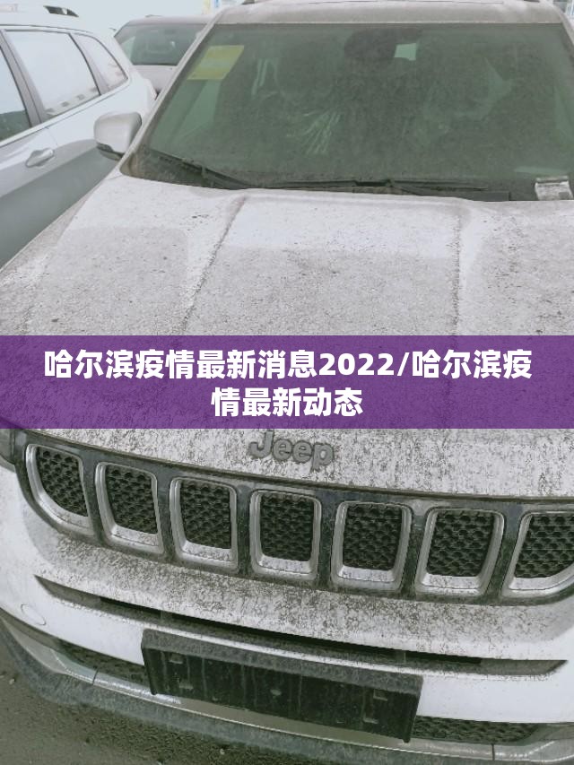 哈尔滨疫情最新消息2022/哈尔滨疫情最新动态 哈尔滨疫情最新消息2022/哈尔滨疫情最新动态