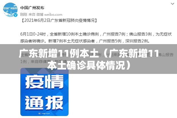 广东新增11例本土（广东新增11本土确诊具体情况）