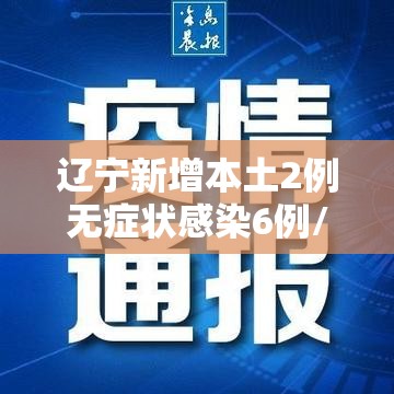 辽宁新增本土2例无症状感染6例/辽宁新增本土2例无症状感染6例病例