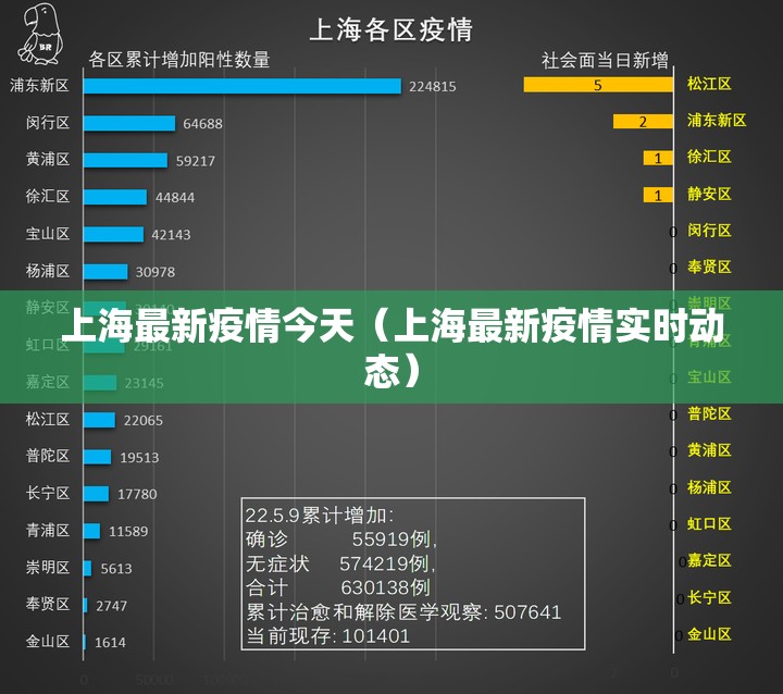 上海最新疫情今天(上海最新疫情实时动态) 上海最新疫情今天(上海最新疫情实时动态)