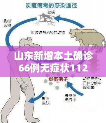 山东新增本土确诊66例无症状112例(山东新增本土病例6例) 山东新增本土确诊66例无症状112例(山东新增本土病例6例)