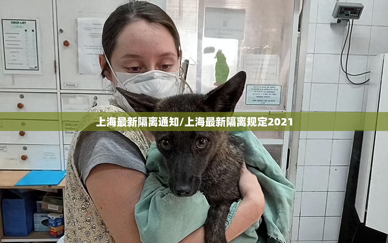 上海最新隔离通知/上海最新隔离规定2021 上海最新隔离通知/上海最新隔离规定2021