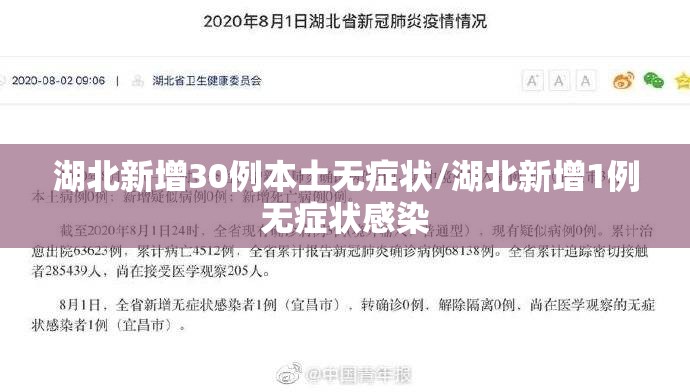 湖北新增30例本土无症状/湖北新增1例无症状感染 湖北新增30例本土无症状/湖北新增1例无症状感染