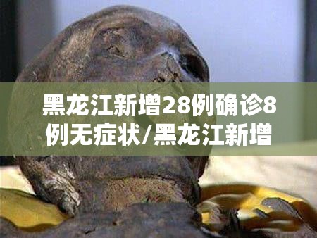 黑龙江新增28例确诊8例无症状/黑龙江新增28例确诊8例无症状是什么 黑龙江新增28例确诊8例无症状/黑龙江新增28例确诊8例无症状是什么