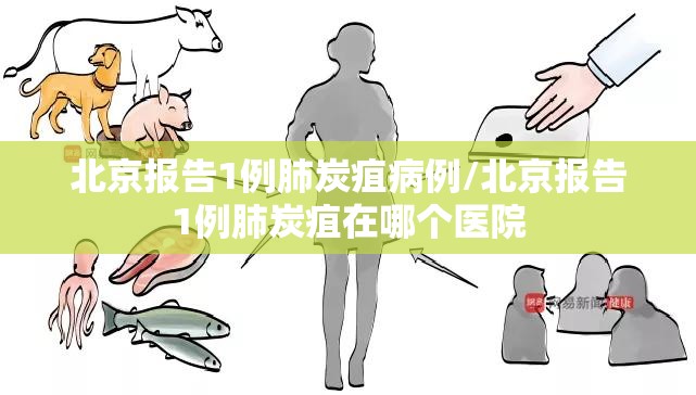 北京报告1例肺炭疽病例/北京报告1例肺炭疽在哪个医院 北京报告1例肺炭疽病例/北京报告1例肺炭疽在哪个医院