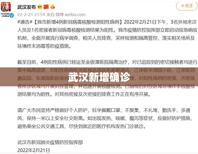 武汉新增确诊 武汉新增确诊