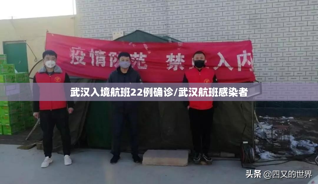 武汉入境航班22例确诊/武汉航班感染者 武汉入境航班22例确诊/武汉航班感染者
